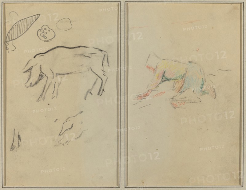 A Pig; Breton Peasant Kneeling [verso], 1884-1888.