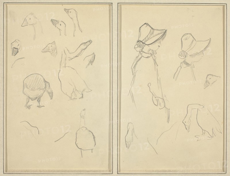 Geese; Girls in Bonnets, Geese [recto], 1884-1888.