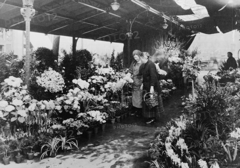 Flower market, Quai de la Cité, 1925. Creator: Frances Benjamin Johnston.
