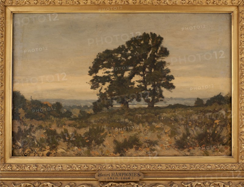 Two trees on the edge of the forest, 1887.