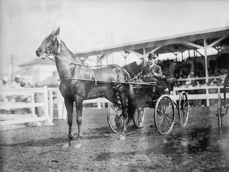 Gheen, J.O - Driving 'Boscobel' In Horse Show, 1912.