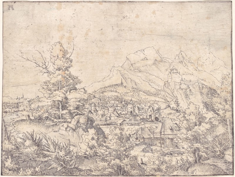 The Great Landscape with the Water Mill, c. 1520.