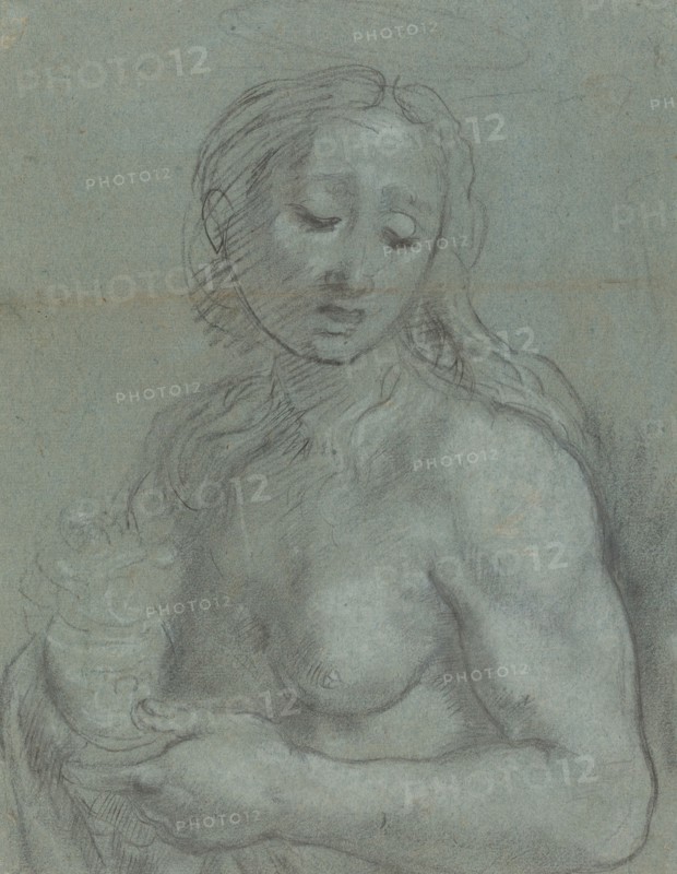 Half-Length of Mary Magdalene [verso], c. 1565/1567.