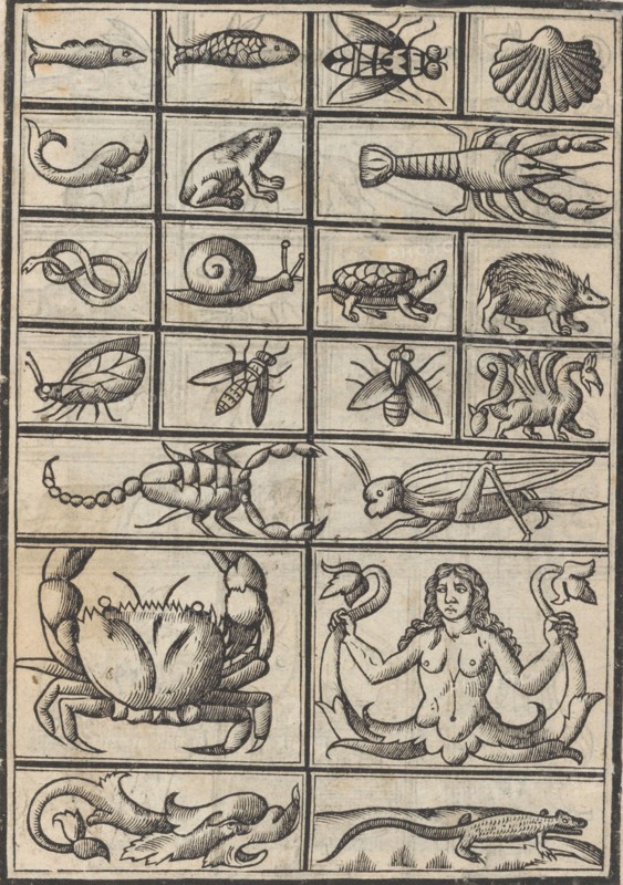 Trionfo Di Virtu. Libro Novo..., page 23 (verso), 1563.
