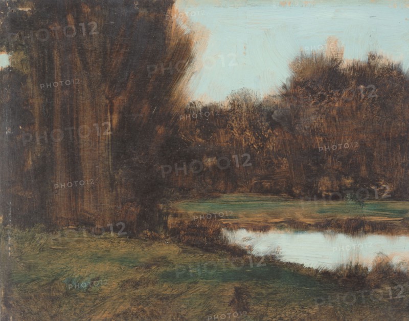 Paysage d'Alsace, une mare, between 1879 and 1888.