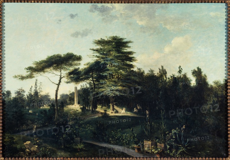 The Cedar of Lebanon, in the Jardin des Plantes, c1800.