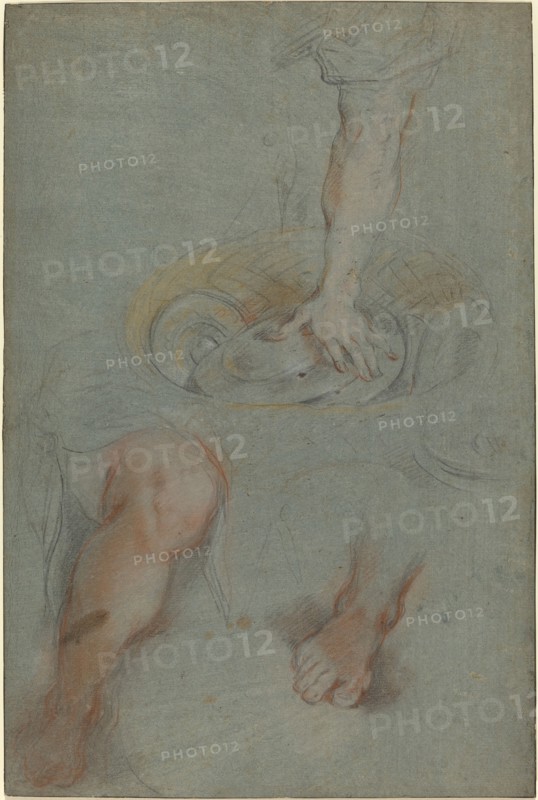 Studies for a Servant in "The Last Supper", c. 1590/1599.