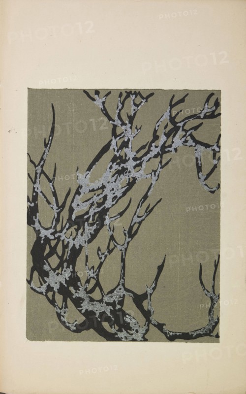Illustration from "Shin bijutsukai", 1901-1902. Creators: Sekka, Kamisaka (1866-1942), Korin, Furuya (1875-1910)