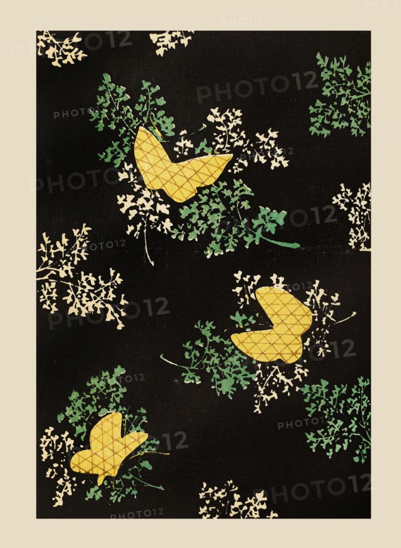 Illustration from "Shin bijutsukai", 1901-1902. Creators: Sekka, Kamisaka (1866-1942), Korin, Furuya (1875-1910)