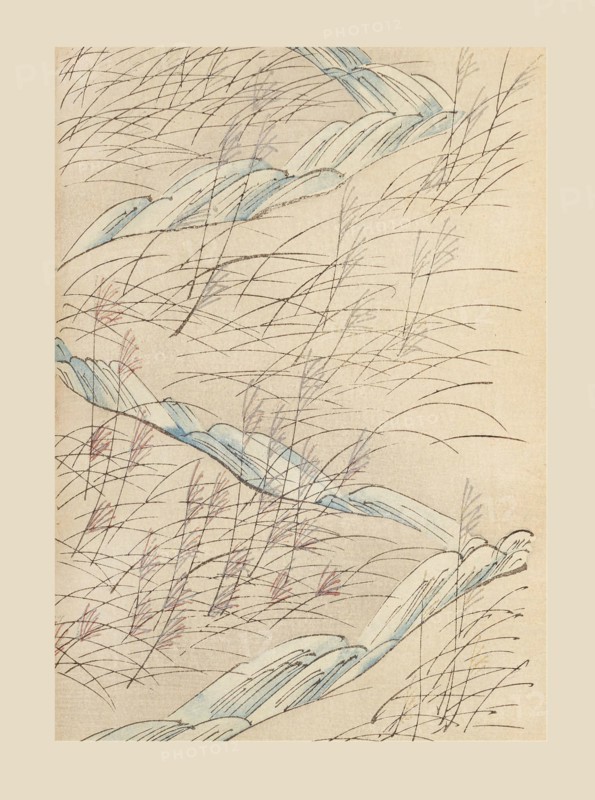 Illustration from "Shin bijutsukai", 1901-1902. Creators: Sekka, Kamisaka (1866-1942), Korin, Furuya (1875-1910)