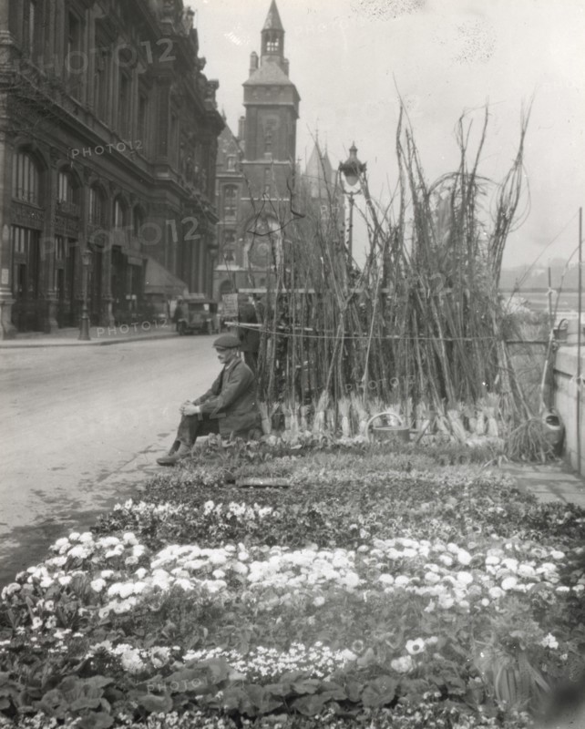 Flower market, Quai de la Cite´, Paris, France, 1925.