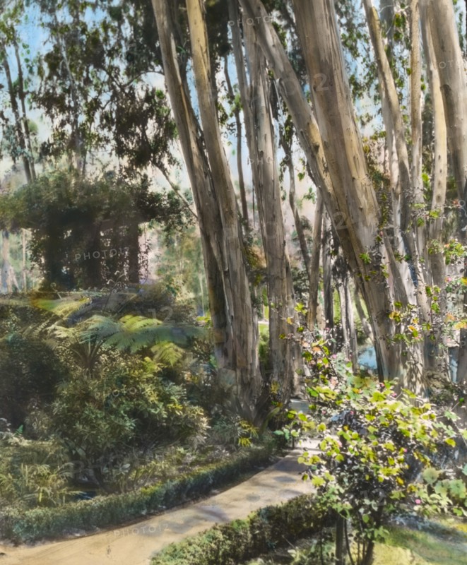 Unidentified house, possibly Pasadena, California, 1917.