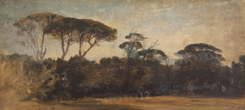 Pins parasols aux environs de Naples, c.1847.