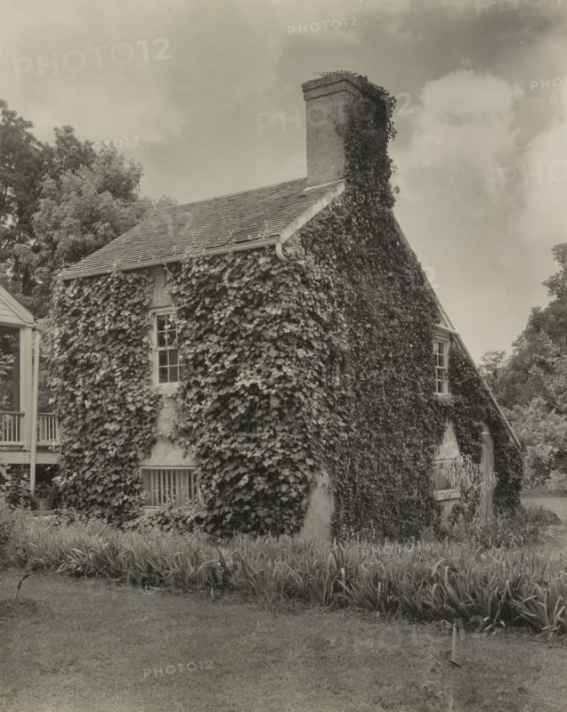 The Briars, Natchez vic., Adams County, Mississippi, 1938.