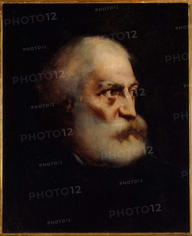 Portrait of Félix Pyat (1810-1889), journalist and politician, 1888.