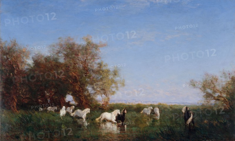 Chevaux sauvages en Camargue, between 1890 and 1895.
