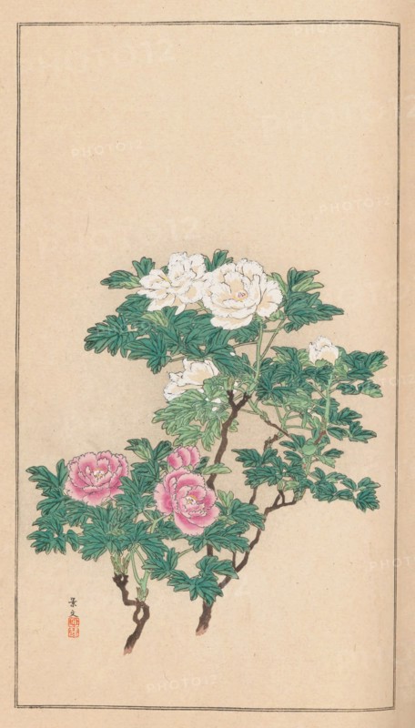 Shubi gakan (Drawing Methods for Aesthetic Pictures), 1889. Private Collection.