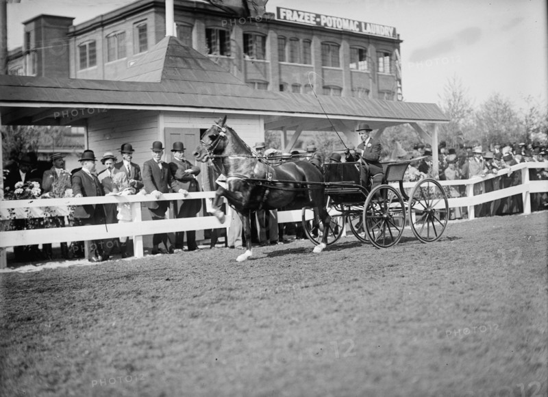 Horse Shows...Gen. Allen And Secretary Dickinson Standing Back of Fence..., 1911. Creator: Harris & Ewing.