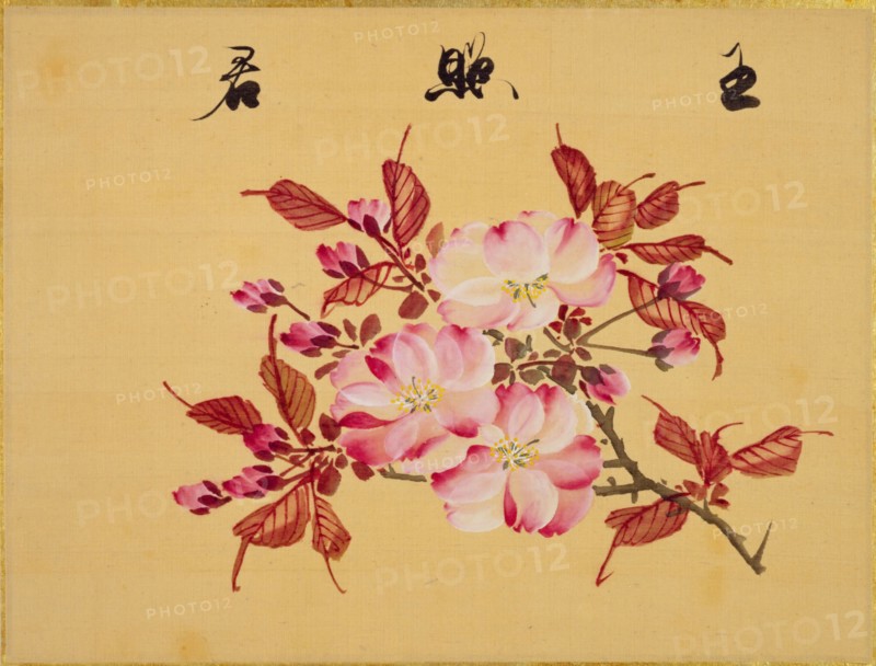 From the Sketch Book of Sakura (Cherry Blossoms), Between 1830 and 1853. Private Collection.
