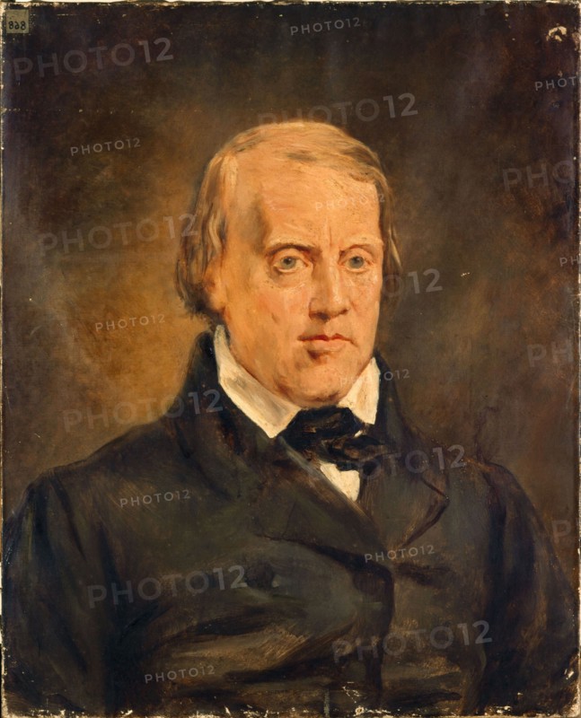 Portrait of François Vincent Raspail (1794-1878), chemist and politician, between 1794 and 1878.
