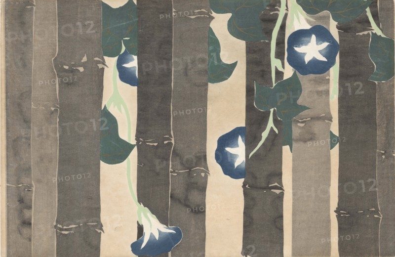 Asagao (Morning Glories). From the series "A World of Things (Momoyogusa)", 1909-1910. Private Collection.