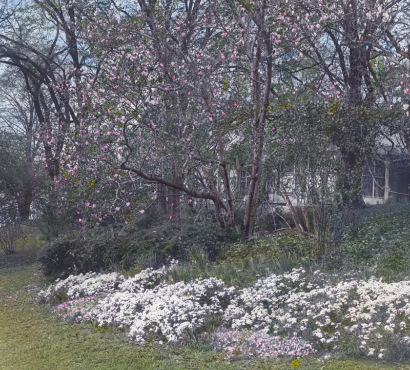 Lyndhurst, Finley Johnson Shepard house, 635 South Broadway, Tarrytown, New York., c1914.