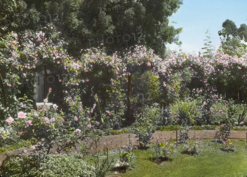 Senuelo, Edward Ditmars Wetmore house, Fairway Road, Montecito, California, 1917. Creator: Frances Benjamin Johnston.