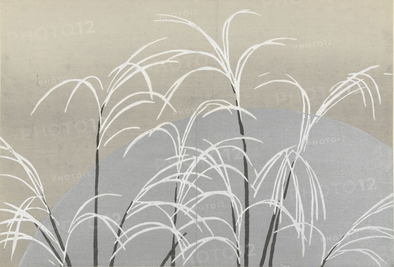 Obana ni tsuki (Pampas grasses and the moon). From the series "A World of Things (Momoyogusa)", 1909-1910. Private Collection.