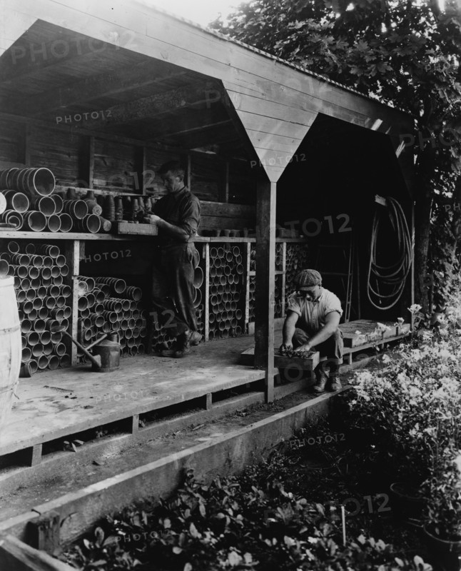 Gardeners potting plants in a shed, posed to illustrate Rudyard Kipling's poem "The Glory of the Garden", 1917.