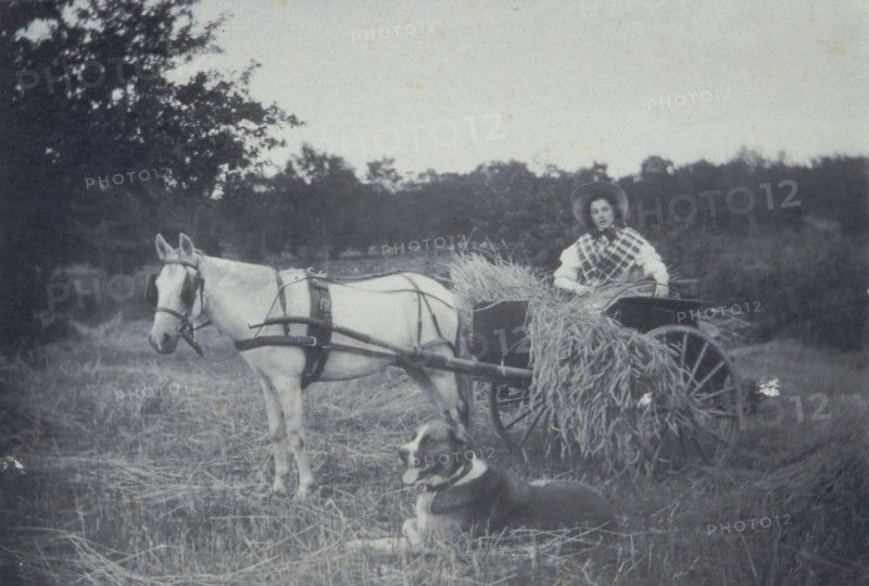 Boon companions, c1900. Creator: Unknown.