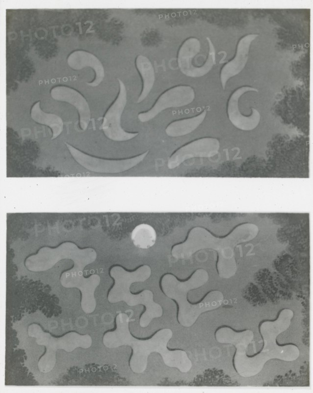 Reproduction of illustrations showing flower garden designs, between 1915 and 1925. Creator: Frances Benjamin Johnston.