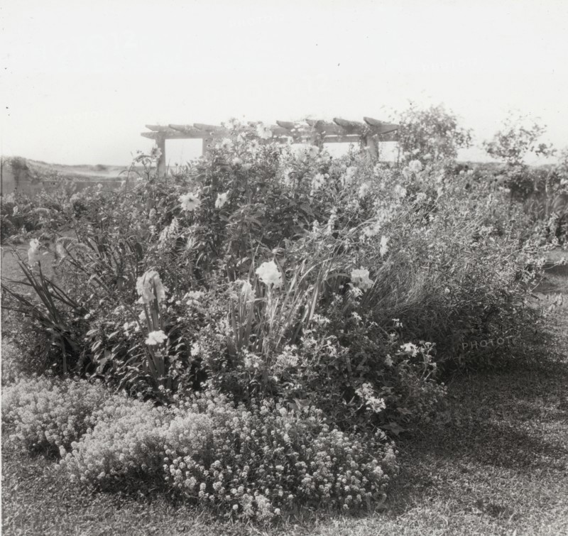 Gray Gardens, Robert Carmer Hill house, Lily Pond Lane, East Hampton, New York, c1914. Creator: Frances Benjamin Johnston.