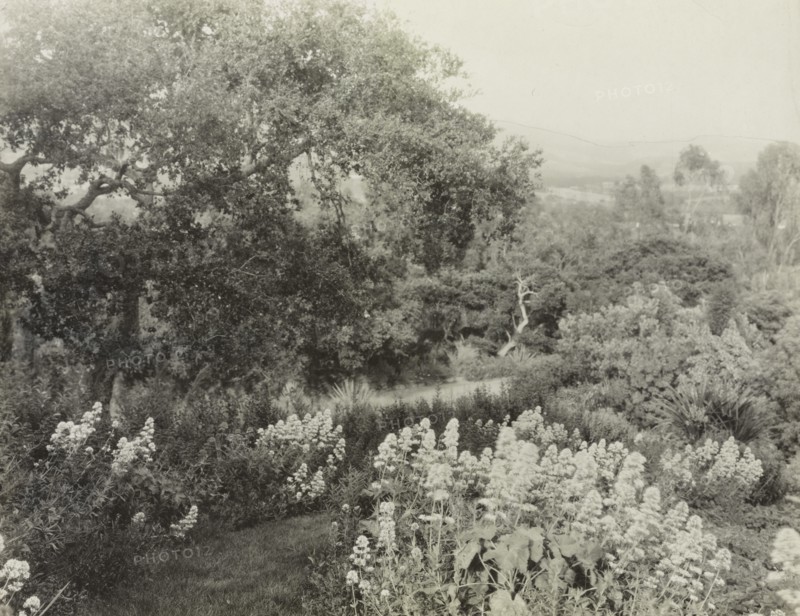 El Cerrito, Edward Larned Ryerson Jr. house, Hot Springs Road, Santa Barbara, California, 1917. Creator: Frances Benjamin Johnston.
