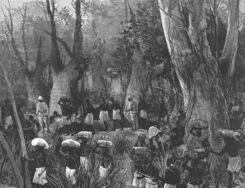 'The Graphic' Stanley Number; The Vanguard of the Expedition Marching throughthe Primaeval Forest',  Creator: Unknown.