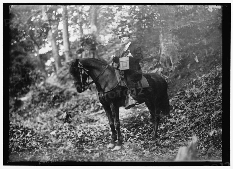 Man on horse in woods, between 1914 and 1917. Creator: Harris & Ewing.