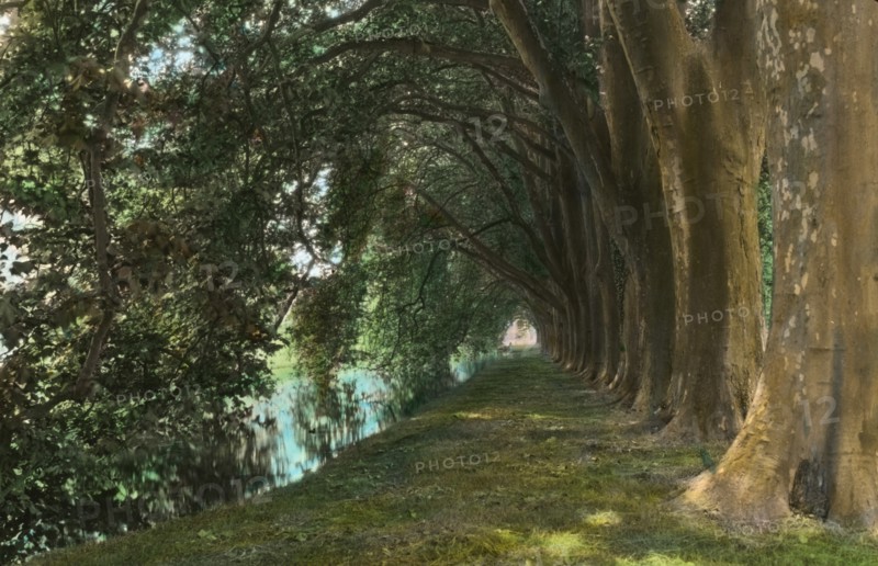 Chateau of Courances, Courances, Seine-et-Marne, France, 1925. Creator: Frances Benjamin Johnston.