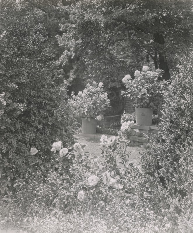 Stonehurst, Charles William Henry house, Cherokee Street, Chestnut Hill, Pennsylvania, 1919. Creator: Frances Benjamin Johnston.