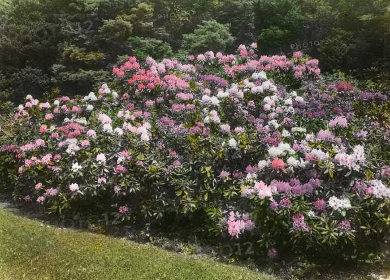 George Fisher Baker house, Tuxedo Park, New York, c1913. Creator: Frances Benjamin Johnston.