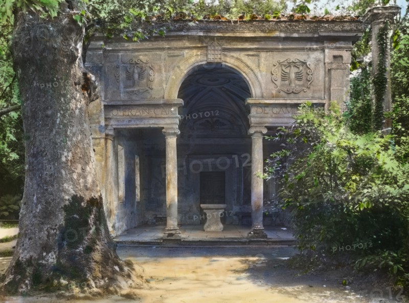 Villa Lante, Bagnaia, Lazio, Italy, 1925. Creator: Frances Benjamin Johnston.