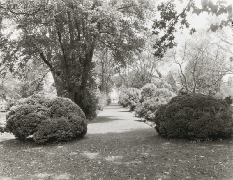 Brandon, Robert Williams Daniel house, Prince George County, Virginia, 1928. Creator: Frances Benjamin Johnston.