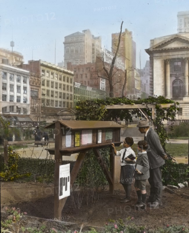 Demonstration garden, Bryant Park, 42nd Street and Fifth Avenue, New York, New York., 1918. Creator: Frances Benjamin Johnston.