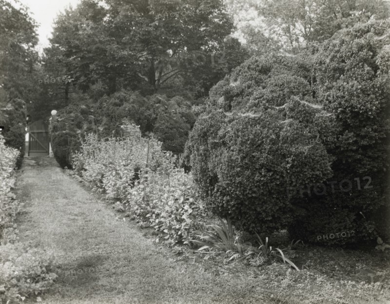 Redlands, Polly Coles and Sally Randolph Carter house, Carter's..., Covesville, Virginia, 1926. Creator: Frances Benjamin Johnston.