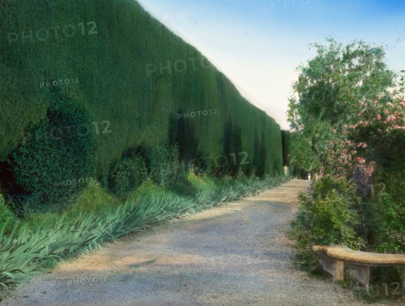Villa Gamberaia, Settignano, Tuscany, Italy, 1925. Creator: Frances Benjamin Johnston.