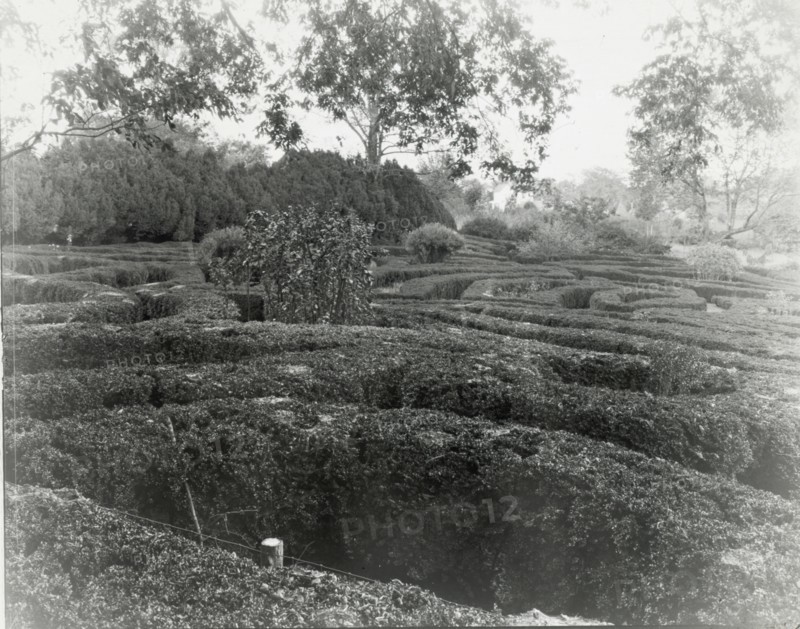 Tuckahoe, Nehemiah Addison Baker house, Route 650, near Mankin, Goochland County, VA, 1936. Creator: Frances Benjamin Johnston.