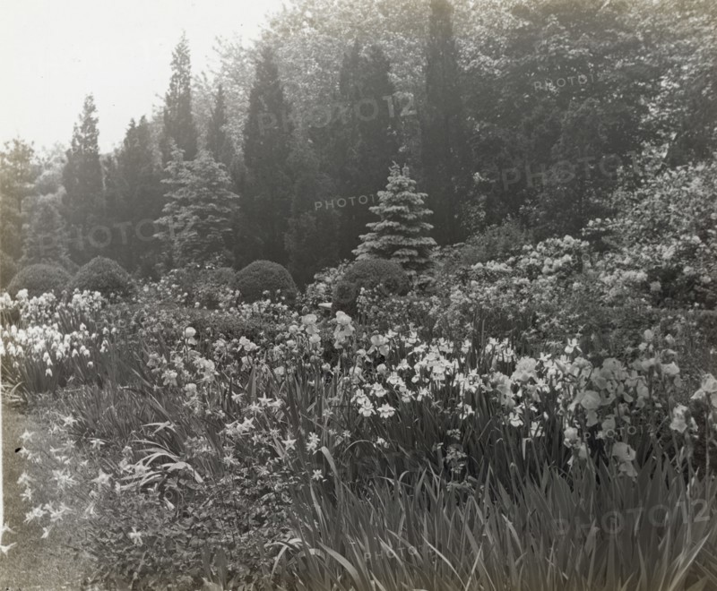 Killenworth, George Dupont Pratt house, Glen Cove, New York, c1918. Creator: Frances Benjamin Johnston.