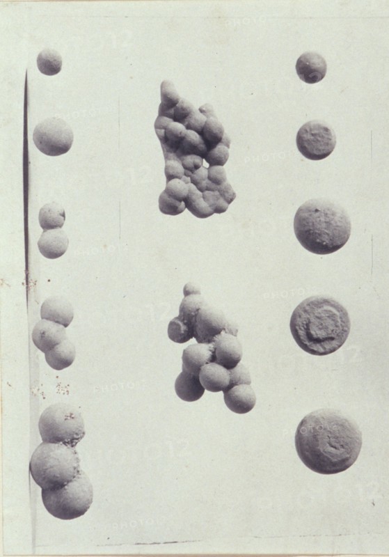 Specimen illustrations for a monograph on clay stones by J.M. Arms Sheldon, c1900. Creator: Frances S. Allen.