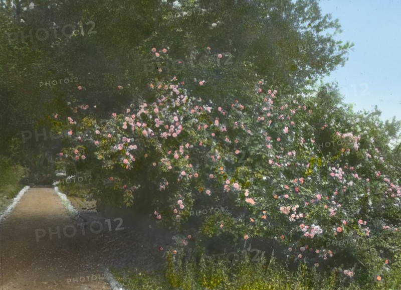 Arcady, George Owen Knapp house, Sycamore Canyon Road, Montecito, California, 1917. Creator: Frances Benjamin Johnston.