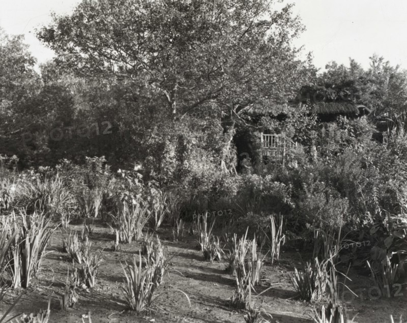 Grey-Croft, Stephen Swete Cummins house, Huntting Lane, East Hampton, New York, 1913. Creator: Frances Benjamin Johnston.