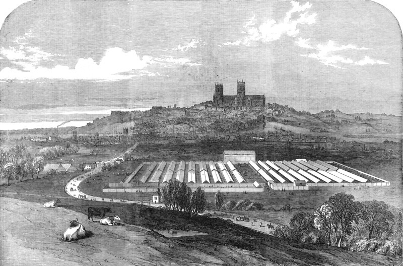 Meeting of the Royal Agricultural Society, at Lincoln, 1854. Creator: Unknown.
