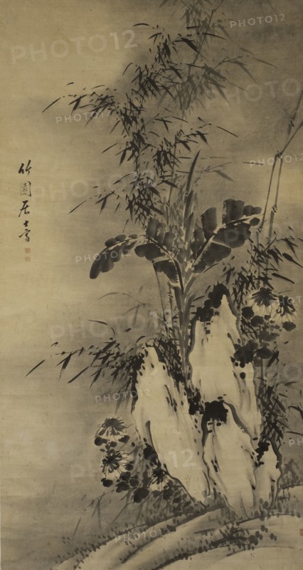 Bamboo.